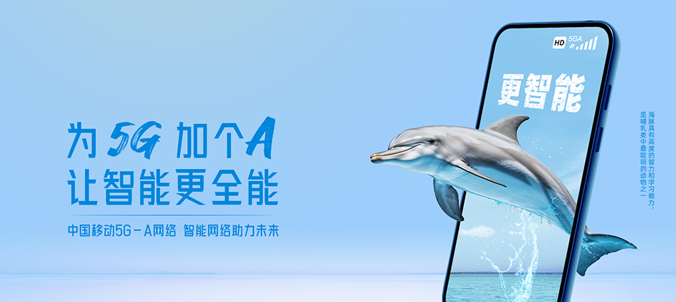 中国移动市中区移动宽带